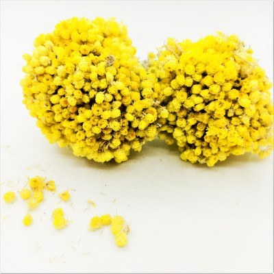 Golden Grass (One Bunch) 