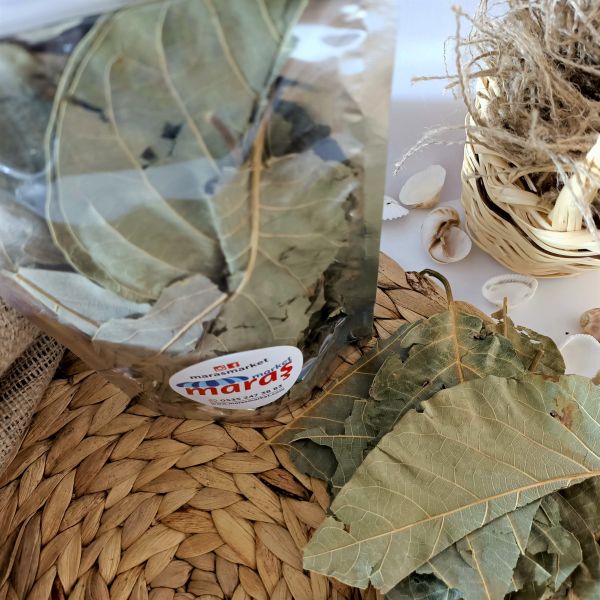 Avocado Leaf 100 Gr. - 3