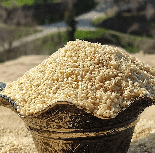 SESAME - 500 GR - 1