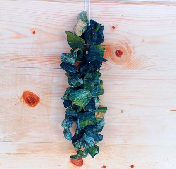 Dried Gherkin - 50 Pieces - 1