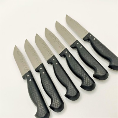 Handmade Fruit Knife Set of 6 