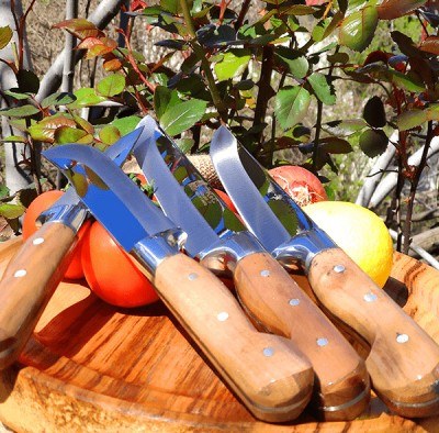 Hartlap Silver Bracelet Kitchen Knife Set 