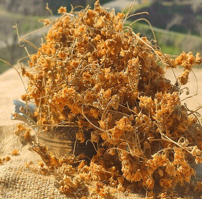 Linden (100 GR) 