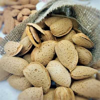 Kabuklu Badem 1000 Gr. 