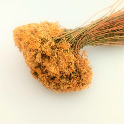 Sarı Kantaron Paket 50 Gr 