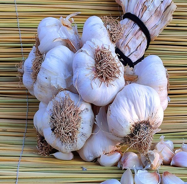 Sarımsak - 1 Kg - 1
