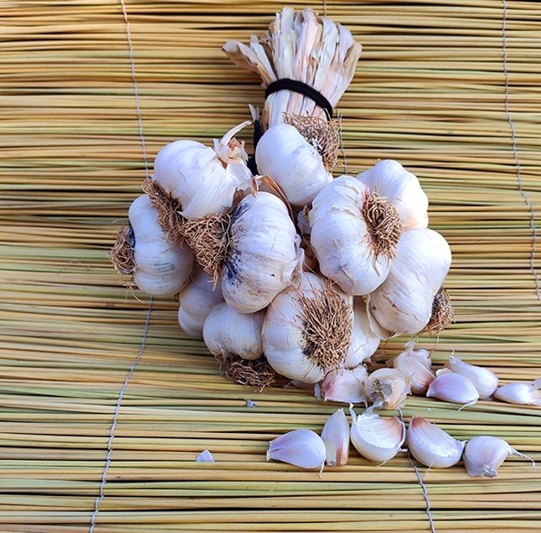 Sarımsak - 1 Kg - 3