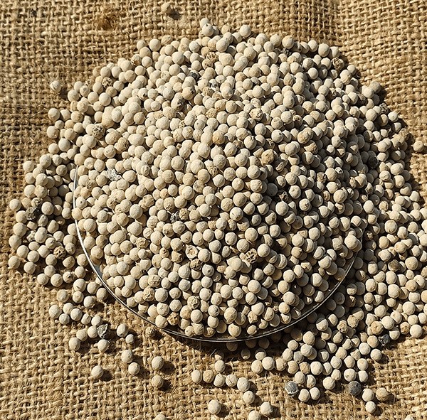 Tane Beyaz Karabiber - 100 Gr - 1