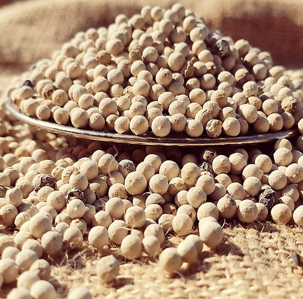 Tane Beyaz Karabiber - 100 Gr - 2